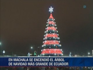 Se encendió el árbol más grande del Ecuador