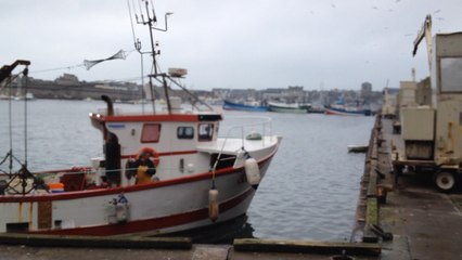 La coquille des Glénan est arrivée