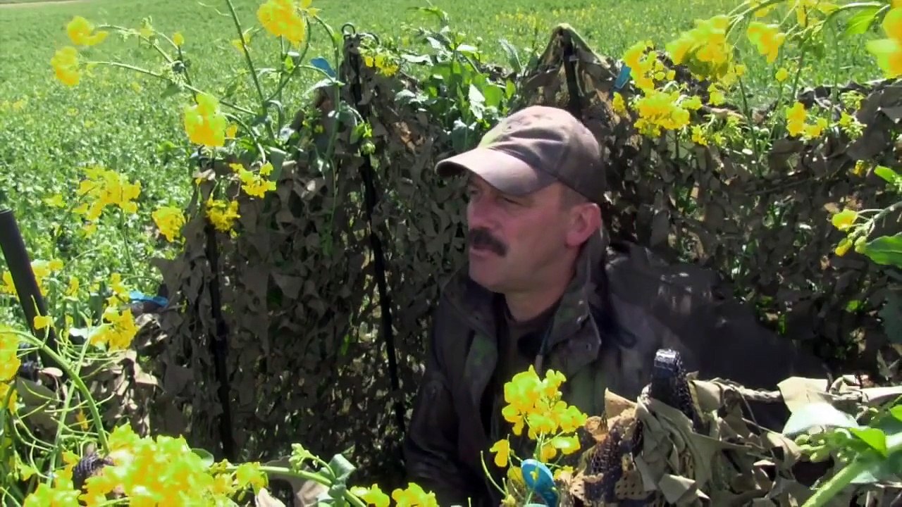 The Shooting Show oilseed pigeon decoying and the Zoli Taiga