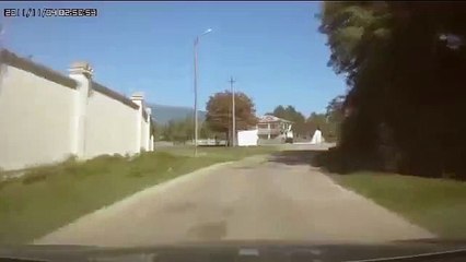 Aniden Arabanın Önüne Atlayan İneğin Uçuşu