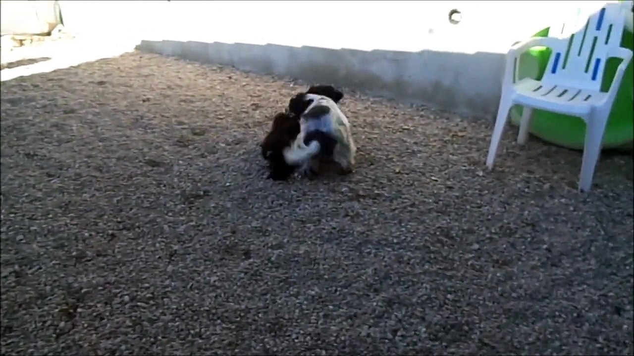 24.11.15. Lucy et Laurette jouent