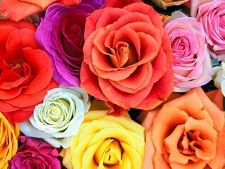 Sevemedim Karagözlüm - Best of Remix