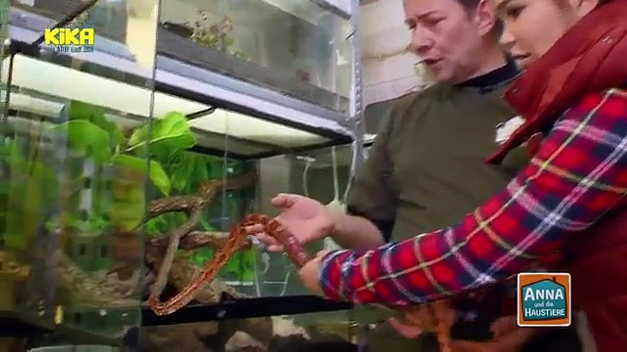 Anna und die Haustiere - Schlange