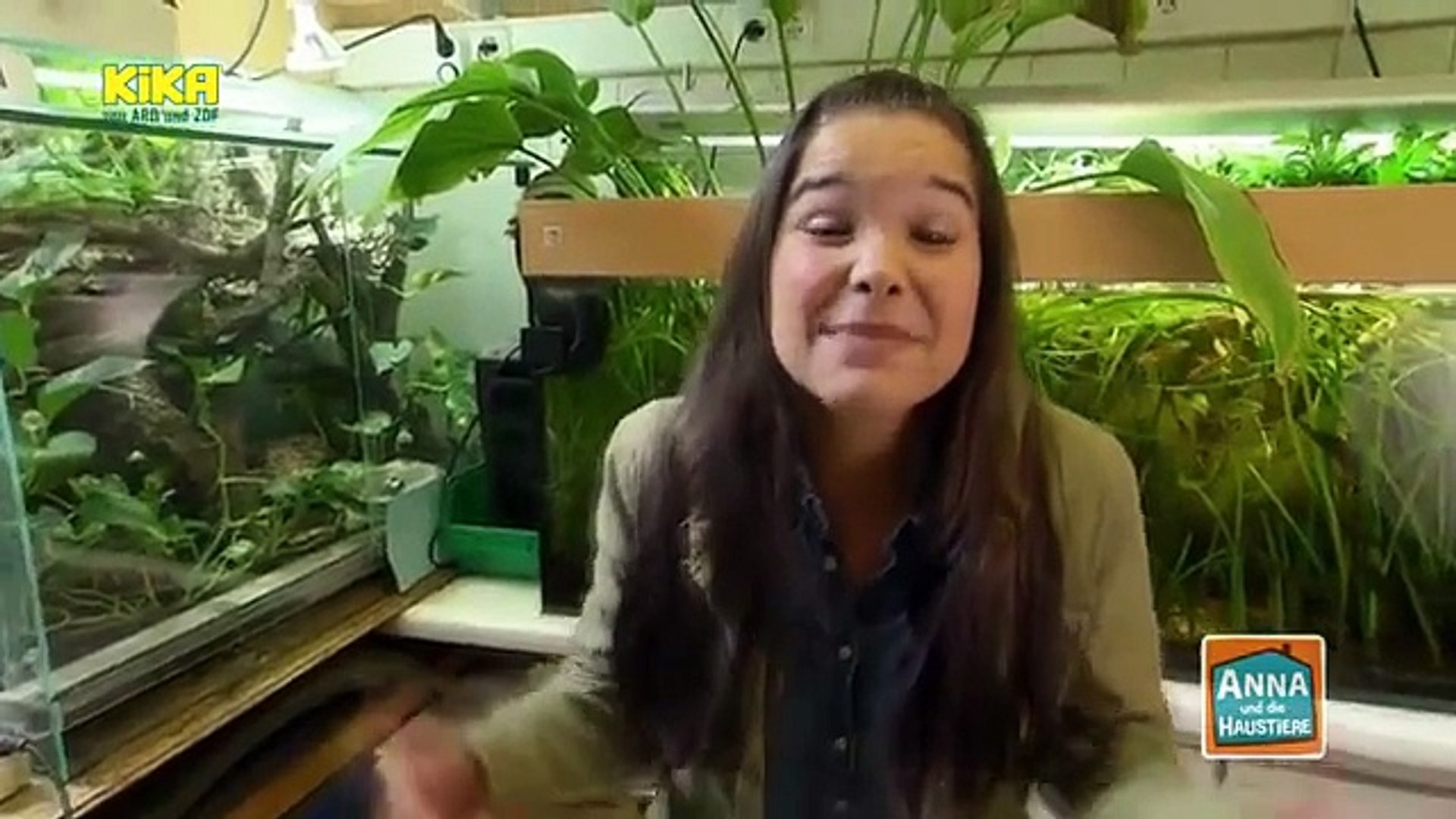 Anna und die Haustiere - Schildkröte - video Dailymotion