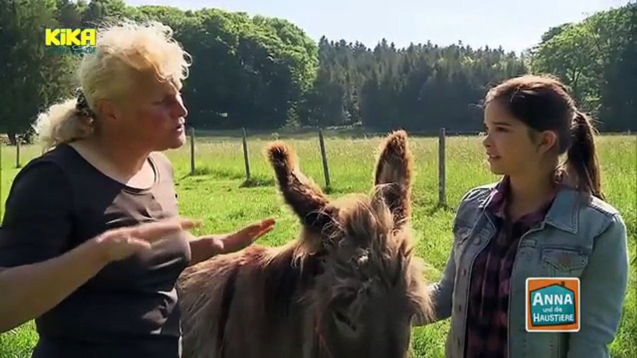 Anna und die Haustiere - Esel