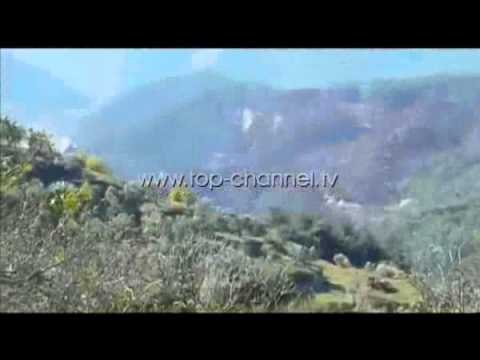 Putin: Rrëzimi i avionit, pasoja tragjike - Top Channel Albania - News - Lajme