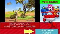 Harika Kanatlar Yeni Sezon Avustralya Hayvanları