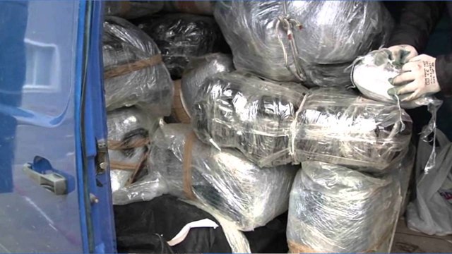 PD: 800 KG KANABIS U ZHDUK NGA KOMISARIATI I VLORES
