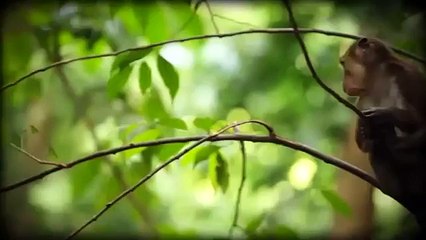 Sheridan Beach Resort And Spa In Palawan, Philippines