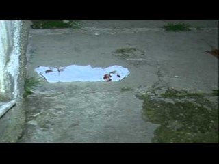 KORÇE,BURG PER PLAGOSJEN E TE BIRIT, 45 VJEÇARI PENDOHET “ISHA I DEHUR” LAJM mpg