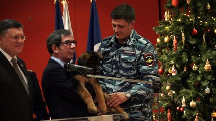 Russie: un chiot à la France pour remplacer Diesel