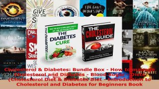 Read  Cholesterol  Diabetes Bundle Box  How to manage Cholesterol and Diabetes  Blood Sugar EBooks Online