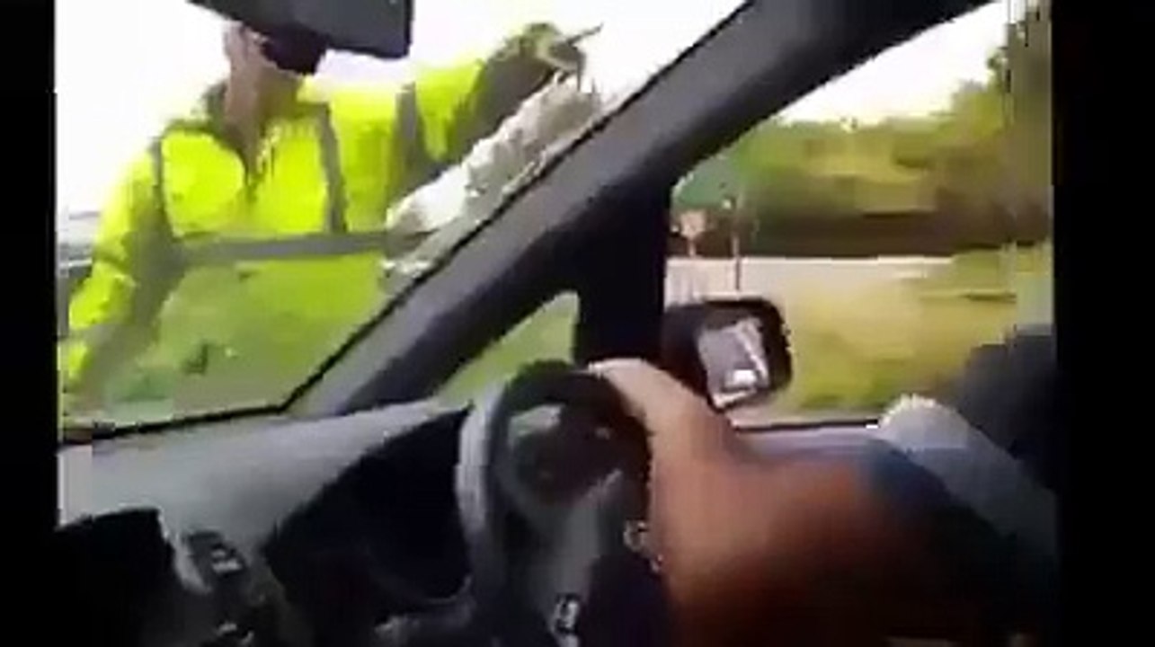 Fake or real?