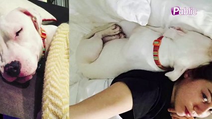 Exclu vidéo : Miley Cyrus : Trash sur scène mais tendre en privée !