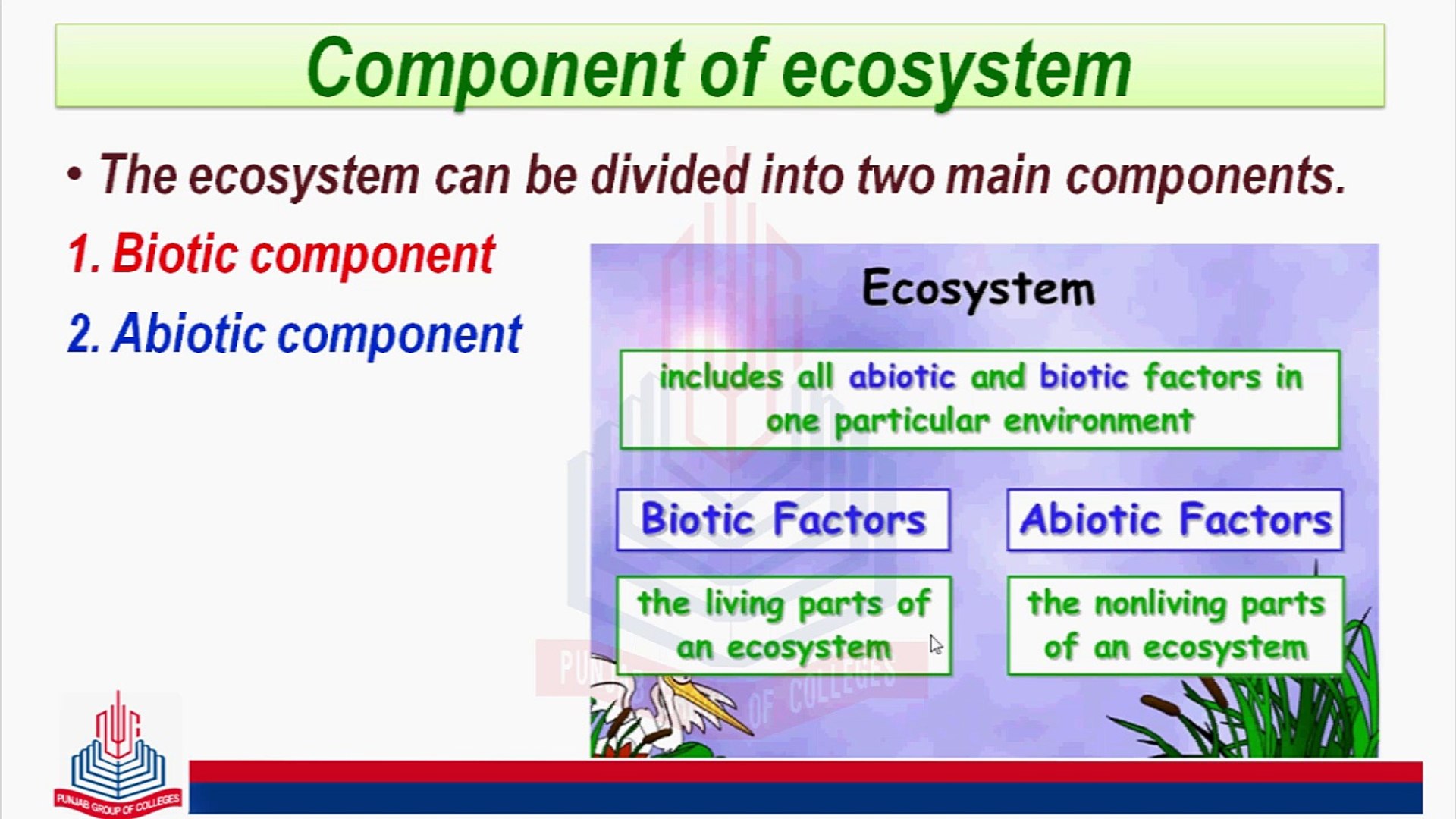 what are two biotic factors
