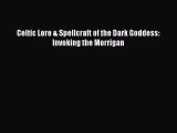 Celtic Lore & Spellcraft of the Dark Goddess: Invoking the Morrigan PDF Download