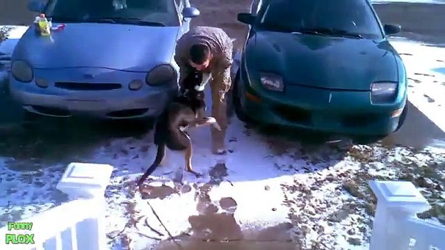 Dogs Welcoming Soldiers Home Compilation 2015 [HD]