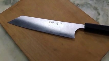 The Japanese chef's knife