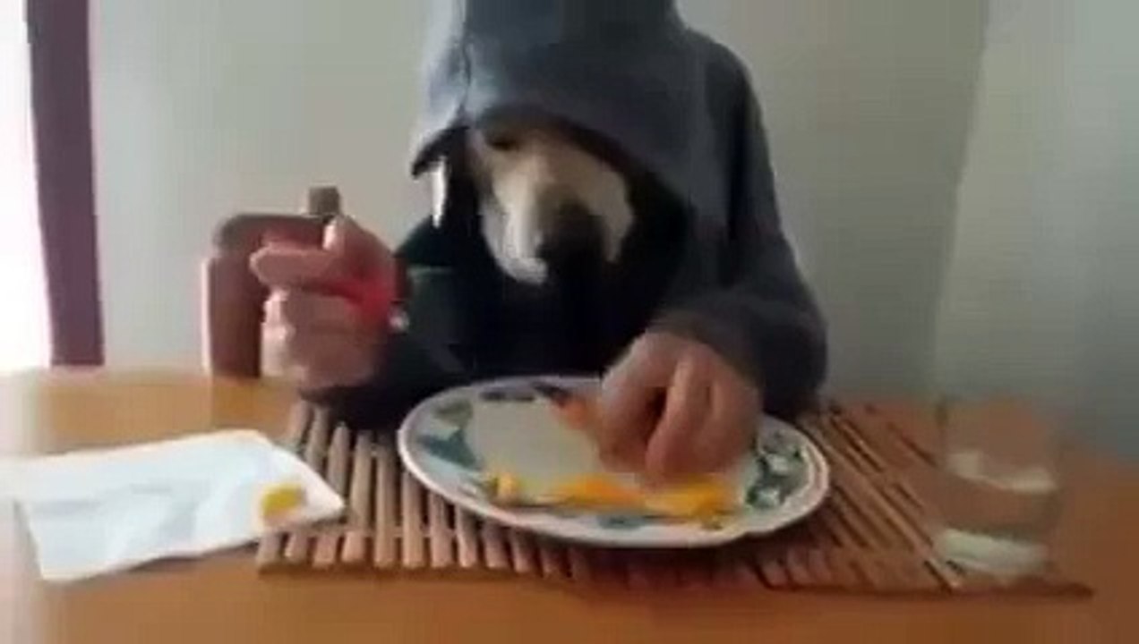 Целый день ржал!
