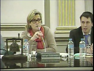 Conseil Municipal du 7 décembre 2015