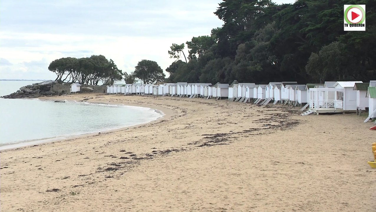 Top La Plage des Dames en Automne - Télé Noirmoutier Vendée