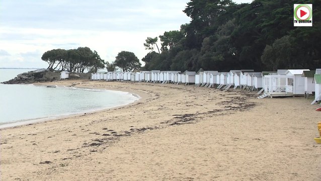 Top La Plage des Dames en Automne - Télé Noirmoutier Vendée