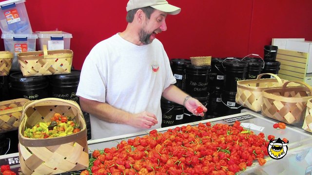 2 gars mangent le piment le plus fort du monde : Carolina Reaper