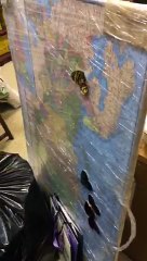 Александр Бон (shponks) on Periscope [2015-12-06 23-39] Итог‼️