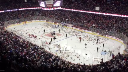 Plusieurs milliers de peluches jetés lors d'un match de hockey sur glace