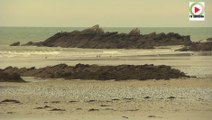 Sympa aussi l'Automne  - Télé Ile d'Yeu Vendée