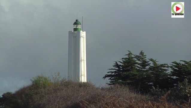 Le beau Q de Gabrielle au Port de la Meule - Télé Ile d'Yeu Vendée