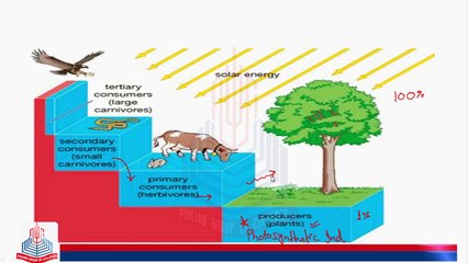 Process in Ecosystem and interaction between biotic and Abiotic Components