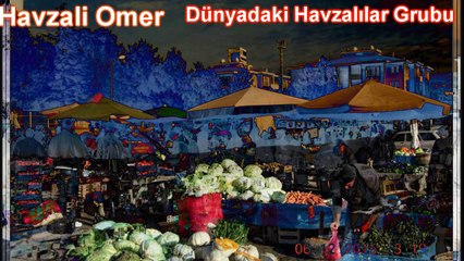 SAMSUN HAVZA