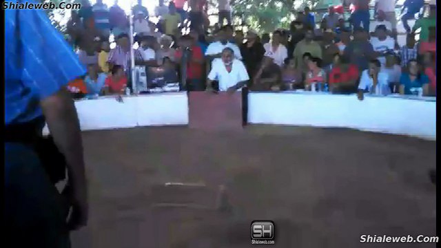 PALENQUE PELEA DE GALLOS EN MICHOACAN MEXICO GRAN TORNEO DE BATALLAS Y APUESTAS 3 COMBATES SEMIFINAL NOVIEMBRE 2015