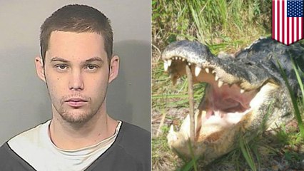 Suspected burglar eaten by 11-foot alligator while hiding from police