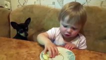 2パスタ。パスタを食べる犬と少女