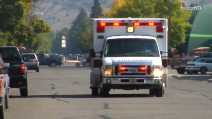 Worst 911 calls of 2015