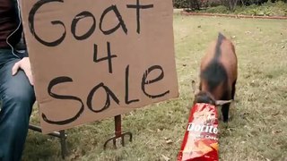 Doritos Super Bowl Commercial: Goat 4 Sale