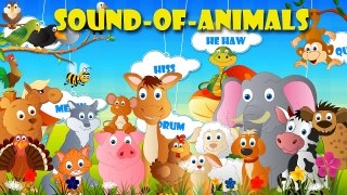Sounds of Animals Song | Children Nursery Rhymes