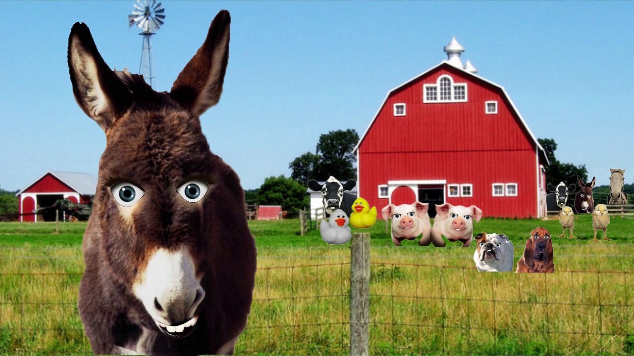 old macdonald had a farm Nursery Rhyme