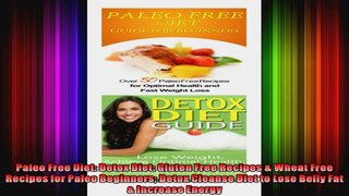 Paleo Free Diet Detox Diet Gluten Free Recipes  Wheat Free Recipes for Paleo Beginners