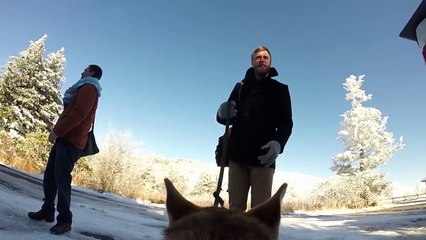 GoPro- Our Snowy Wedding (from our dog's perspective)