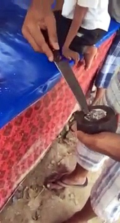 funny video