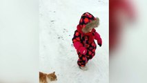 El gato más divertido tumba a una niña al suelo
