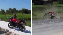 Il se bat avec un singe qui a uriné sur sa moto