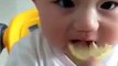 Kid Eating Lemon - Very Cute