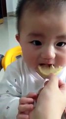 Kid Eating Lemon - Very Cute