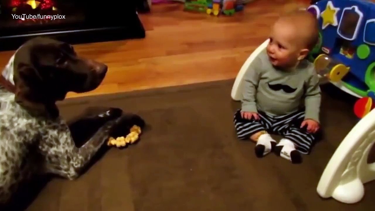 They just can't STOP laughing