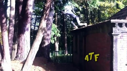 Roof Jumping Fails Compilation!