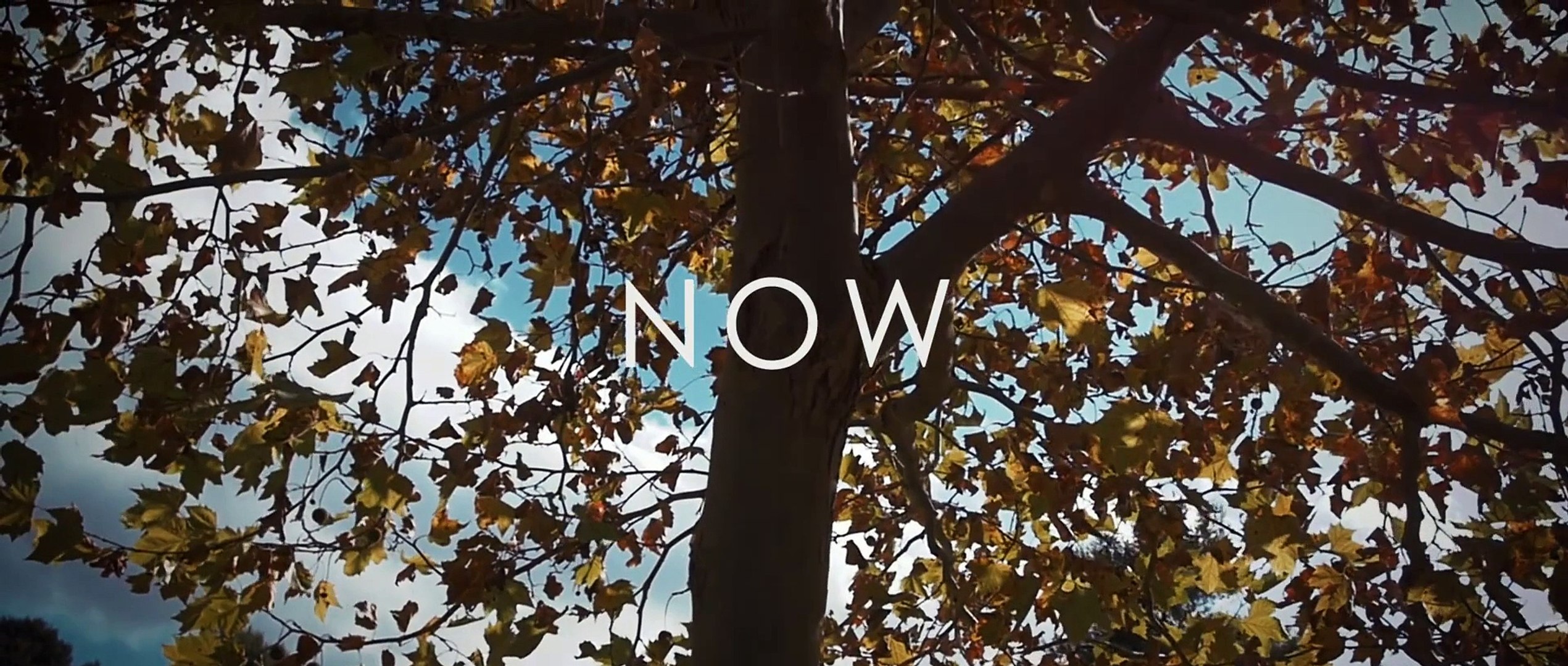 PLAYMEN - Stand By Me Now